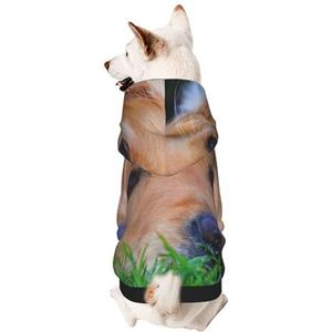 Golden Retriever hondenhoodies hondensweatshirt voor kleine honden, trui, elastische stof, zacht en warm voor het dier en gemakkelijk te dragen