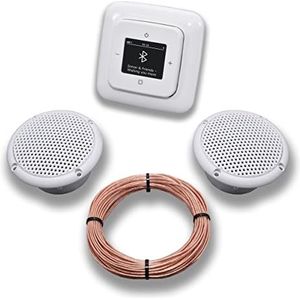 Busch Jäger - 8217U-101 - Inbouwradio - Alpinewit - DAB+ en Bluetooth - Complete Set met 2 Plafondluidsprekers