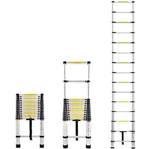 Froadp 440cm Aluminium Telescopische Ladders Multifunctionele Leunladder Telescoopladder met 15 Trappen Scheve Ladder Gevouwen Hoogte 94cm Antislip Uitbreidbaar Ladder Laadvermogen 150KG (Zilver)