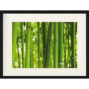 1art1 Bamboe Poster Bamboo Forest Ingelijste Foto Met Passepartout | Muur Foto's | In Een Fotolijstje 80x60 cm