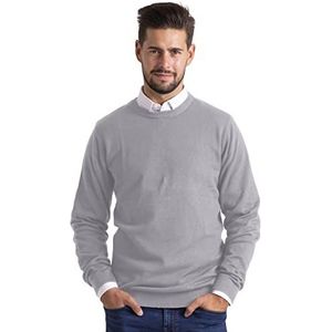 BlauerHafen Heren Slim-Fit Sweater Pullover Ronde Hals Crew Lange Mouwen Casual Katoenen Jumper, grijs, L