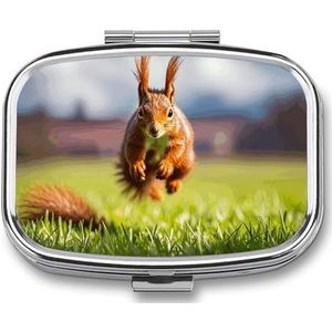 Country Brown Eekhoorn Pillendoos 2 Compartimenten Vierkante Pillendoos met Spiegel Metalen Pil Organizer Reizen Pillendoos Mini Medicijn Opbergdoos voor Pocket Purse