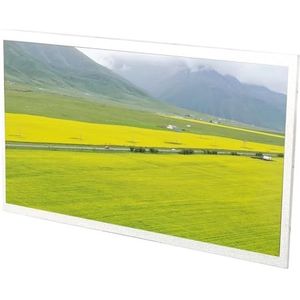 Uitgebreid 10,1-inch DVI-displaymodulepaneel voor RPi-scherm met een Resolutie van 1024x600. Inclusief Bonus 5V-uitbreidingskaart, Ideaal voor Digitale Avonturen