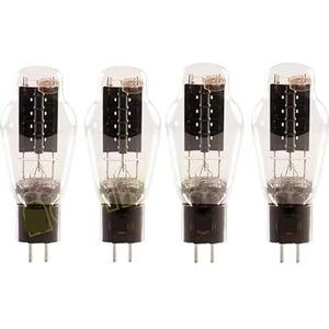 WE300B DIY Tube HIFI Audio versterker (4 stuks WE300B)