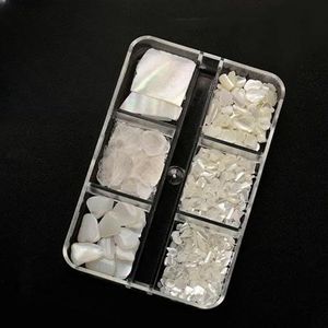 1 doos/6 roosters Aurora Mica Slice Shell Nail Art Flakes 3D onregelmatige Stone Glitter Abalone Shell Slice-ZB053-1