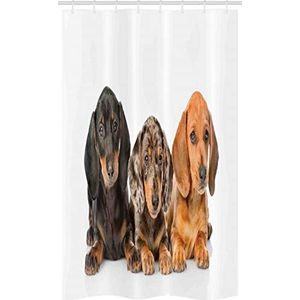 ABAKUHAUS Teckel Douchegordijn, Verschillende Kleur Dogs Lays, voor Douchecabine Stoffen Badkamer Decoratie Set met Ophangringen, 120 x 180 cm, Dark Taupe Taupe