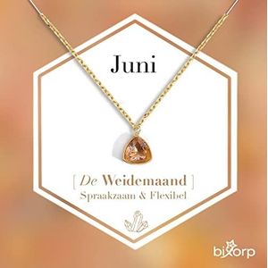 Bixorp Gems Geboortesteen Ketting Juni - Barnsteen - Zirkona Hanger aan Goudkleurige Ketting - 45 + 5cm - Cadeau voor vrouwen