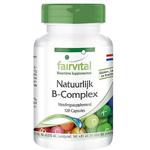 Fairvital | Vitamine B-complex - natuurlijk uit gist - VEGAN - 120 capsules - met choline en inositol