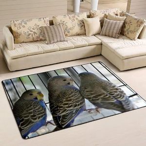 Gebied tapijten 100 x 150 cm, blauwe parkiet papegaaien parkiet vloer tapijt print welkomstmat zacht woonkamer tapijt, voor ingang, binnen en buiten