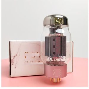 KT88-PT DIY HiFi-audio-versterker (2 stuks matched paar)