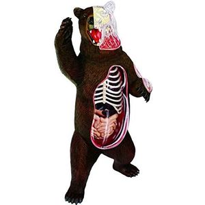 Animal Creature Black Bear Organ Anatomie Geschikt Voor Onderwijs Model Voor School, Onderwijs