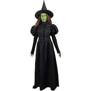 Wicked Witch of the West kostuum - The Wizard of Oz