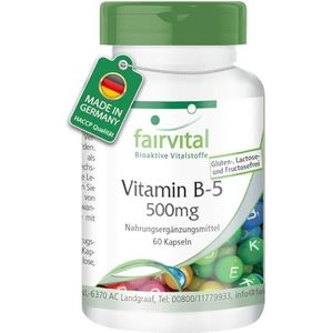 Fairvital | Vitamine B5 capsules 500mg - voor 2 maanden - HOOG GEDOSEERD - VEGAN - 60 capsules - pantotheenzuur