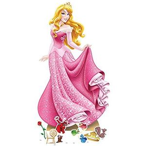 STAR CUTOUTS SP009 Aurora Doornroosje Kartonnen Uitsparing Feestdecoraties Met Zes Mini Feestbenodigdheden Prinses Disney Thema, Medium, Roze