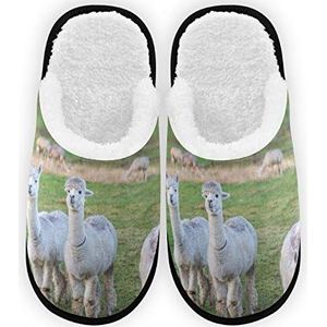 Heren Dames Slippers Alpaca Kapsel Pluche Voering Comfort Warm Koraal Fleece Dames Slippers voor Indoor Outdoor Spa