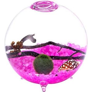 Footed Aquarium kit Globe Aquatic Kit Orb Terrarium Glazen Vaas met Voeten, Levende Mosballen Kiezels Zeeschelp en Zwart Ventilator Koraal Gebruikt voor Tafeldecoratie Cadeau voor Vrienden (3,5 ""x 4"", Stijl G)