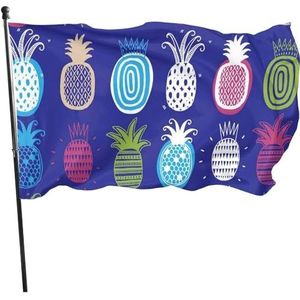 Vlag 90 x 150 cm, Ananas zomervlaggen 2 metalen oogjes, vlaggen, banner, levendige kleuren, boerderijvlag, voor carnaval, activiteiten, thuis