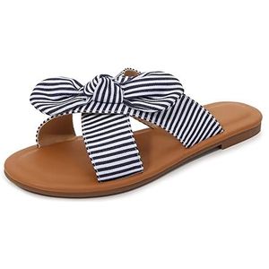 Dames Zomer Slippers Ta jiang vrouwen zomer platte gestreepte sandalen open teen 40-43 boog outdoor slippers slipper Sloffen (Color : Blue, Size : 38)