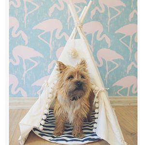 Lily&her friends -100% handgemaakt katoenen huisdier tipi-bed, tent voor hond (puppy) en kat, wasbare honden/katten speelgoed Wigwam, draagbare hond tipi, egel klein huisdier huis met zachte pad (wit, bal decoraties, klein)