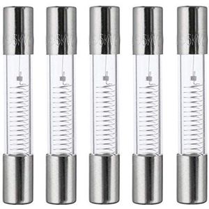 Movilideas 700 mA 5 KV 6 x 40 mm Magnetronzekeringen Hoogspanningsbeveiliging Snelzekering Zekeringen 0,7 Ampère 5.000 Volt Glasbuisbeveiliging Zekering (5 Stuks)