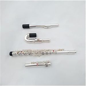 standaard dwarsfluit Beginnende Kinderen Gebogen Pijp Verzilverd Fluitinstrument Dubbel Mondstuk C-band Spelend Fluitinstrument