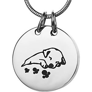 XLIAN326 huisdier crematie sieraden hond urn ketting roestvrij staal ronde hond kat urn aandenken hanger medaillon huisdier memorial (metalen kleur: zilver)