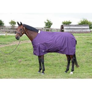 Harry's Horse Regendeken Thor 100gr WI23 195 Paars