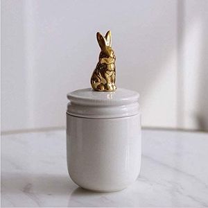 Pet Urnen Pet crematie urn handgemaakte keramiek Memorial Urn voor konijn kleine vogels kleine honden Ash (White)