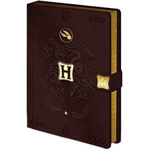 Harry Potter Notitieboek A5 Premium - Quidditch