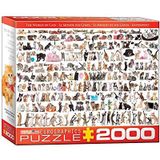 EuroGraphics 6010-5373 Legpuzzel, Diverse