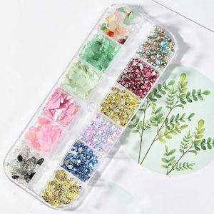 12 roosters/doos onregelmatige abalone natuurlijke schelp nagelvlokken 3D Aurora nagel schelp vlokken DIY 1 * doos manicure natuurlijke abalone schelp-PH037