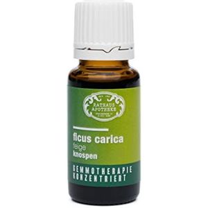 RATHAUS APOTHEKE WIEN geconcentreerd knopextract - Gemmotherapie - Ficus carica - De vijgenboom - 15 ml