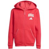 adidas Unisex niños SEASONALS COLLEGIATE TYPOGRAPHY HOODY, pure ruby/off white, 13-14 Years