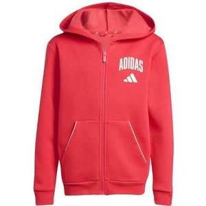 adidas Unisex niños SEASONALS COLLEGIATE TYPOGRAPHY HOODY, pure ruby/off white, 13-14 Years
