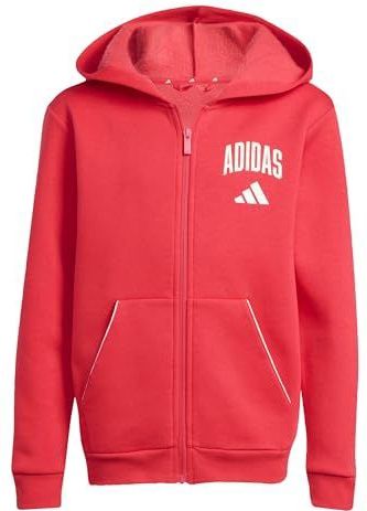 adidas Unisex niños SEASONALS COLLEGIATE TYPOGRAPHY HOODY, pure ruby/off white, 13-14 Years