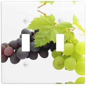 ZhaoYuGoods Paarse en groene druivenprint muurplaat, dubbele tuimellichtschakelaar outlet cover 2-gang 11,4 cm x 11,4 cm, decoratieve pc-voorplaat voor thuis en op kantoor
