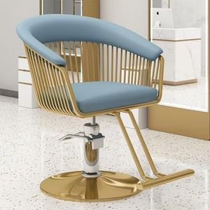 Salonstoel voor stylisten, 360° draaibare kappersstoel met hydraulische pomp, in hoogte verstelbaar, multifunctionele haarstyling- en shampoostoel met voetensteun, voor kapperszaak(Blue-gray)