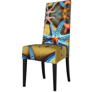 FRESQA Mooie elastische eetkamerstoelhoes met zeesterprint met verwijderbare bescherming, geschikt voor de meeste stoelen zonder armleuningen