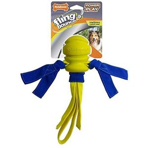 Nylabone Power Play Hondenspeelgoed, maat M, 25,4 cm