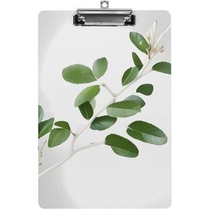 Multifunctioneel wit natuurlijk groen takje bedrukt acryl klembord A4 - Geschikt voor: duurzaam, draagbaar, overal te gebruiken, geschikt voor alle gelegenheden