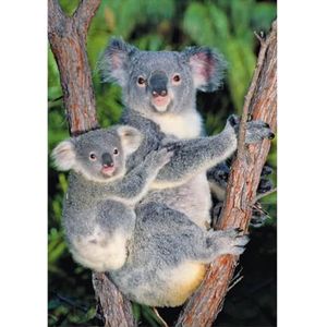 Dino Puzzel 500 stukjes: Koala's in de boom