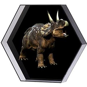 3D Hologram Fan, Hologram Fan Projector, 3D-ventilator hologram projector zeshoekig scherm reclame logo lichte machine LED Roterende beeldvorming met beschermende hoes voor Winkel/Bar/Kerstmis/Hallowe