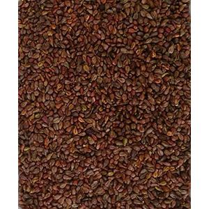 Druivenpitten, 2 kg, los voor warmtekussens, druivenpitkussen, kussen, koudekussen, vulling, korrelkussen, vulmateriaal, druivenpitzakjes, voetmassage, ergotherapie, fysiotherapie