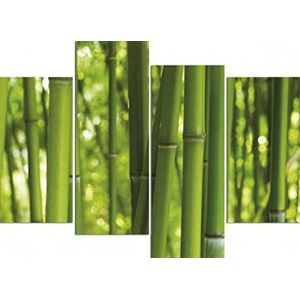 1art1 Bamboe Poster Kunstdruk Op Canvas Bamboo Forest, 4 Parts Muurschildering Print XXL Op Brancard | Afbeelding Affiche 120x80 cm