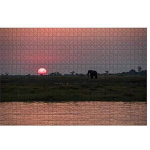 Puzzel 1000 stukjes Olifant Bij zonsondergang In Chobe Nationaal Park In Botswana Houten Puzzel Volwassenen Educatief 1000 Stuks Puzzels Grote Puzzelplezier Puzzelsets Decompressie