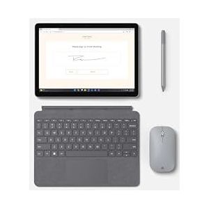 Microsoft Surface Go 4 Platin 256GB Intel N200 8GB Win 10 Pro