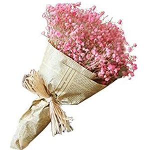 Droogbloemen - 15.7in Gedroogde Babysbreath Bundels,Boho Home Decor Boeket, Babysbreath Boeket voor Bruiloft Bloemstukken Woondecoraties Tumotsit