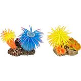 Aquarium Leo anemoom+rots - 10 x 7 x 7 cm