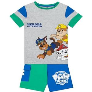 Paw Patrol T Shirt en shorts | Coördinatenset | Chase, Rubble, Skye en Marshall T-shirt en short set | Grijs 104