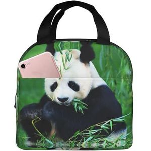JYQCNSMJYB2 Geïsoleerde lunchbox met panda-print voor dames en heren, lichte duurzame draagtas voor kantoor, werk, school